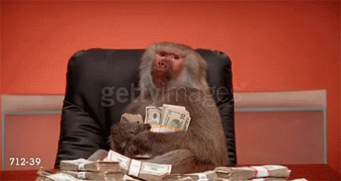 Monkey Counting GIF - Monkey Counting Money GIFs