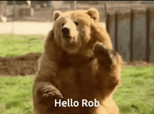 Hello Rob GIF - Hello Rob GIFs