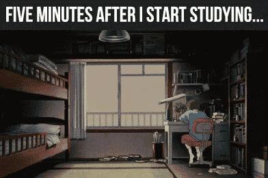 a man sits at a desk in a room with bunk beds and the words five minutes after i start studying