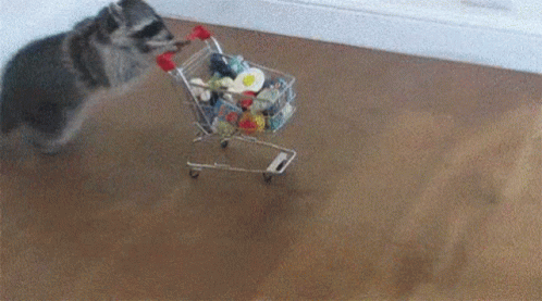 Shopping Grocery GIF - Shopping Grocery Raccoon GIFs