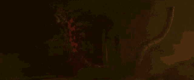 a close up of a tree with red flowers in the dark .