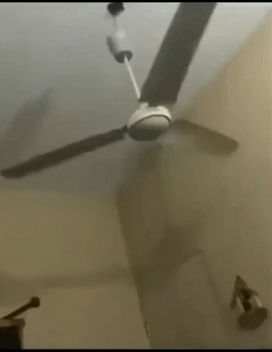 Ceiling Fan Fall GIF