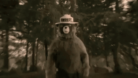 Smokey The Bear GIF - Smokey The Bear GIFs