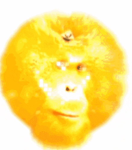 an orange with a monkey face and a heart on it