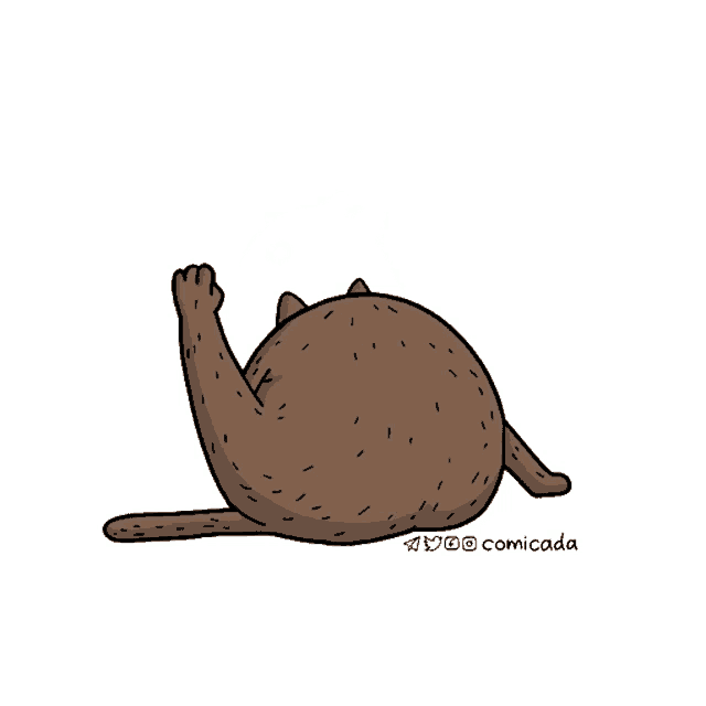 a cartoon drawing of a cat with the name comicada on the bottom