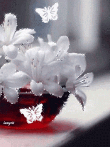 Lily Flower GIF