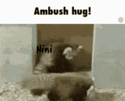 a picture of a hamster with the words " ambush hug " above it
