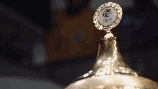 a trophy with the word seha on the top