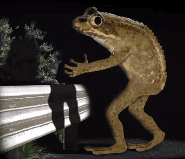 a frog is standing next to a metal railing
