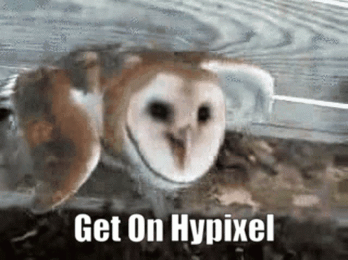 Hypixel Get Online GIF