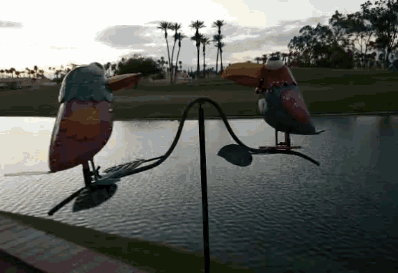 two colorful birds are sitting next to each other near a pond