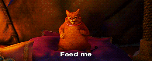 Feed Me GIF - Puss Cat Shrek GIFs