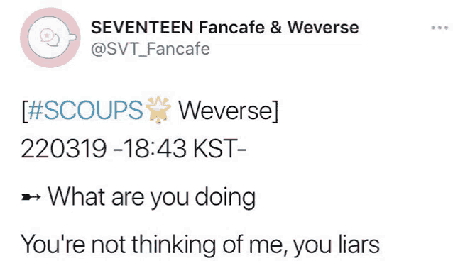 a tweet from seventeen fancafe and weverse says what are you doing .