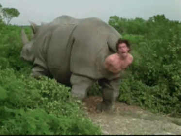 Ace Ventura Movie Rhino Birth Scene GIF - Ace Ventura Rhino Birth Pet Detective GIFs