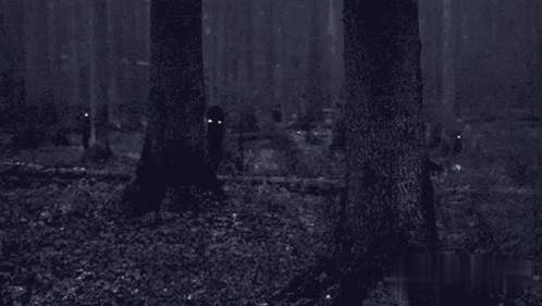 Dark Forest GIF - Dark Forest Mystical GIFs