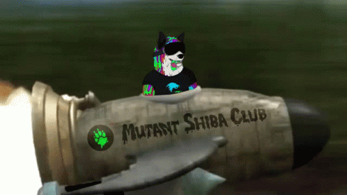 Msc Rocket GIF - Msc Rocket Mutant Shiba Club GIFs