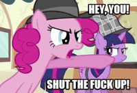 a cartoon of pinkie pie and twilight sparkle saying shut the fuck up