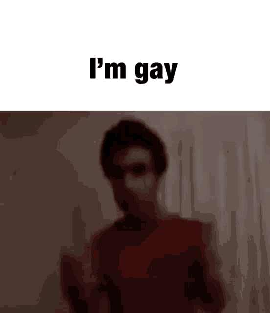 a blurry picture of a man in a red shirt and the words `` i 'm gay '' .