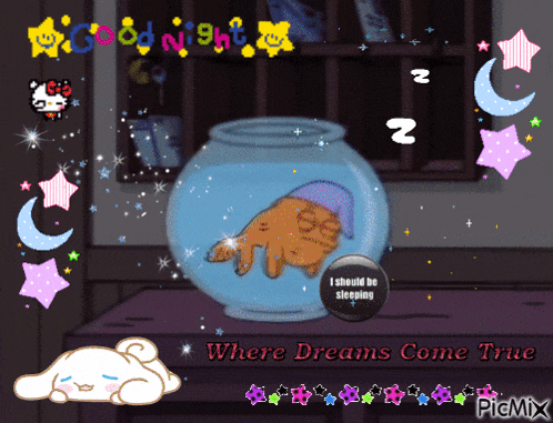 a cartoon of a cat sleeping in a fish bowl with the words where dreams come true