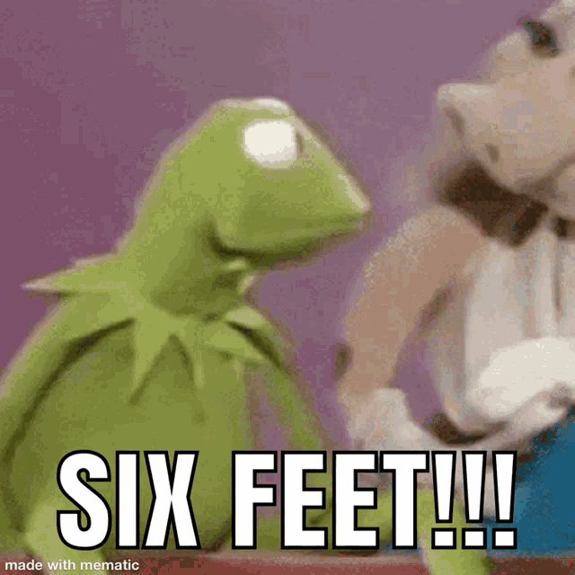 kermit the frog is standing next to mickey mouse and says six feet !!