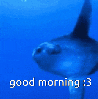a fish in the ocean with the words good morning : 3