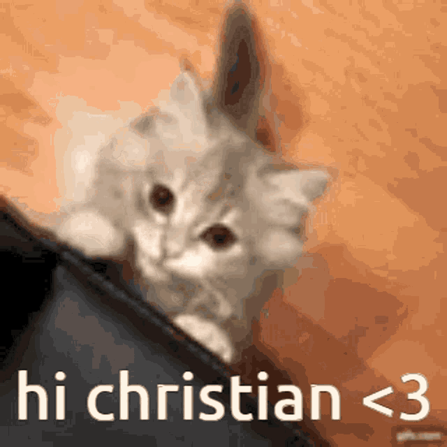 Hi Christian Maze Is Real GIF - Hi Christian Maze Is Real Meow Christian GIFs