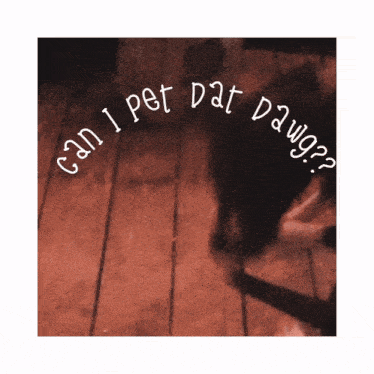 a picture of a dog with the words " can i pet dat dawg " on it