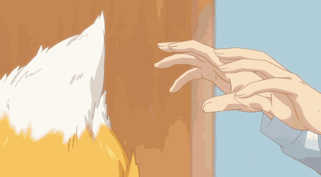 a person touching a fox 's ear with their hands