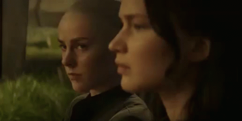 "Really Catniss?" GIF - Hungergames Really GIFs
