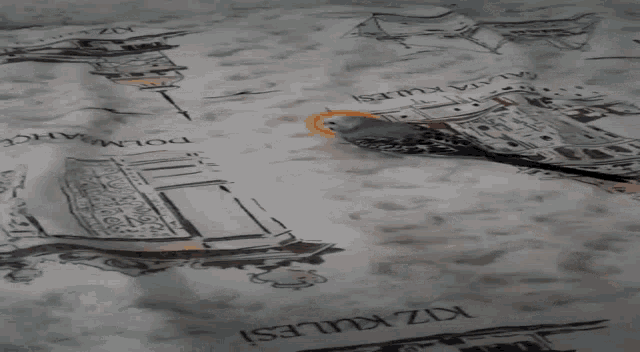 a bird is sitting on a blanket with drawings of buildings and the words kiz kulesi on it