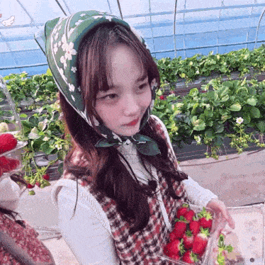 a girl wearing a head scarf is picking strawberries