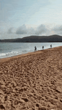 a group of people are standing on a sandy beach near the ocean .