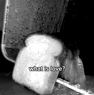 a black and white photo of a slice of bread being toasted with the words `` what is love '' written on it .