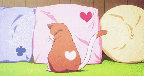 Adorable Cat GIF - Adorable Cat Heart GIFs