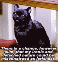 there is a chance however slim that my ironic and detached nature could be misconstrued as jerkness .