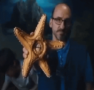 a man is holding a starfish with a hole in the middle