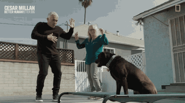 Dancing Cesar Millan GIF - Dancing Cesar Millan Cesar Millan Better Human Better Dog GIFs