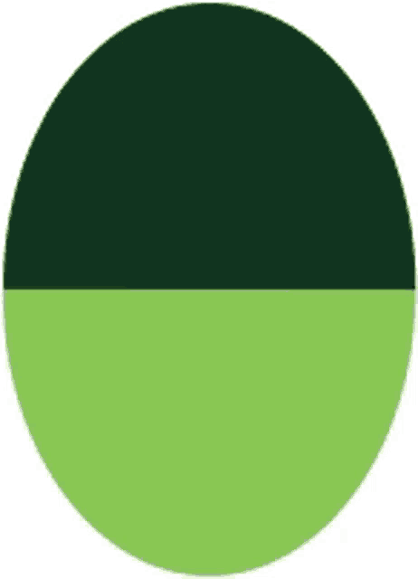 a green circle with a black half in the middle