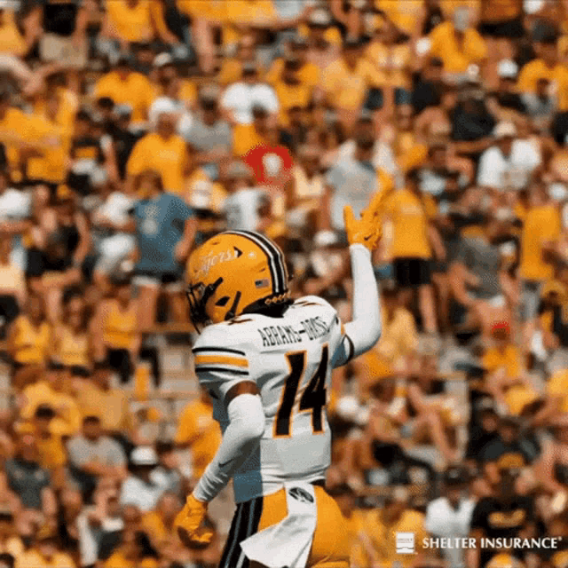 a football player with the number 14 on his jersey stands in front of a crowd