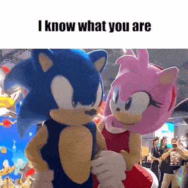 a sonic and amy mascot standing next to each other with a caption that says " i know what you are "