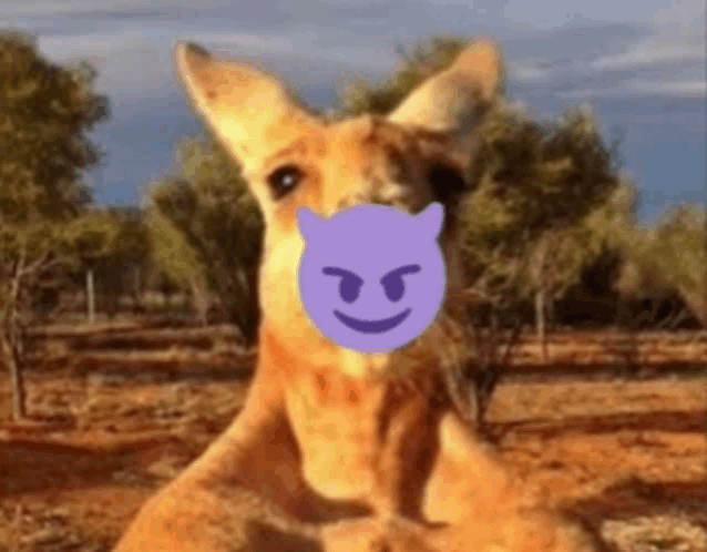 a kangaroo has a purple devil face on its face