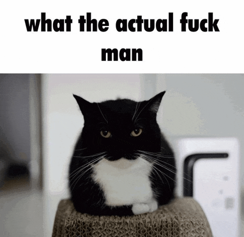 a black and white cat sits on top of a cardboard box with the words what the actual fuck man below it