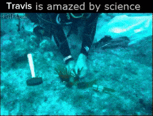 a picture of a scuba diver in the ocean with the words travis is amazed by science at the top