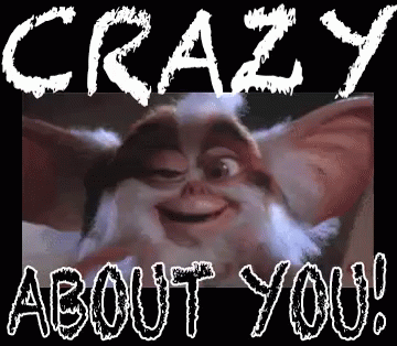 Crazy About You GIF - Crazy About You In Love Obsessed GIFs
