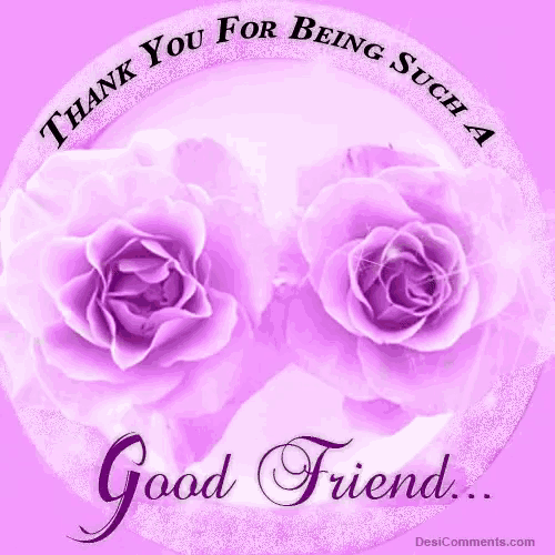 a thank you for being such a good friend greeting card