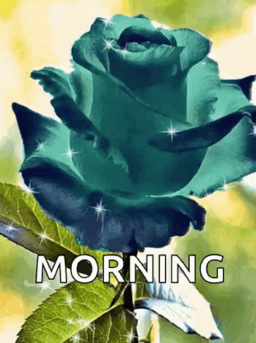 Good Morning Sparkles GIF - Good Morning Sparkles Rose GIFs