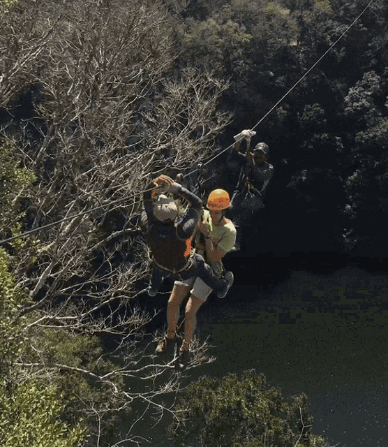 Fab Mexico2019 Zip Line GIF - Fab Mexico2019 Zip Line Forest GIFs