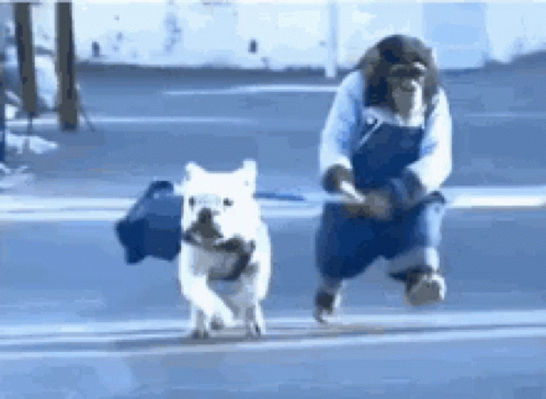 Monkey Walking Dog Cute GIF - Monkey Walking Dog Cute Pet GIFs