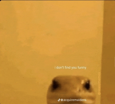 a lizard is standing in front of a wall and looking at the camera .
