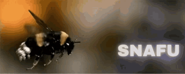 Snafu Bee GIF - Snafu Bee GIFs
